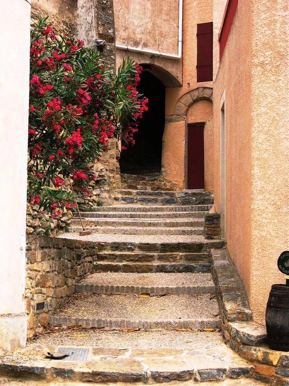 Apartment The Haven Cucugnan Bagian luar foto